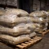 Arabica Coffee Beans