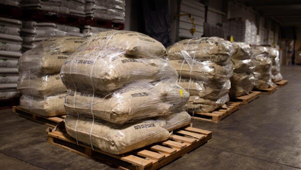 Arabica Coffee Beans