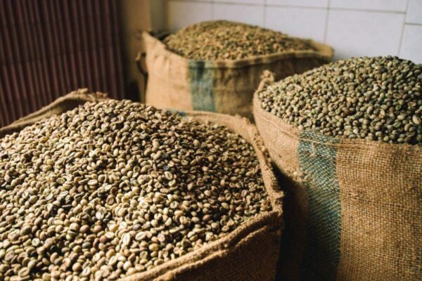 Cardamom (Green)