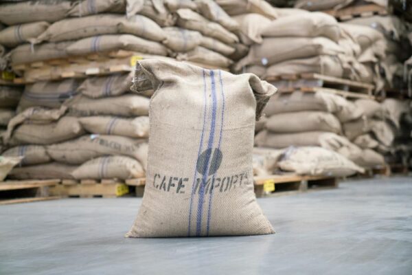 Robusta Coffee Beans