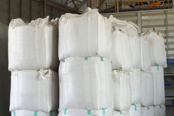 Robusta Coffee Beans (Bulk Export Grade)