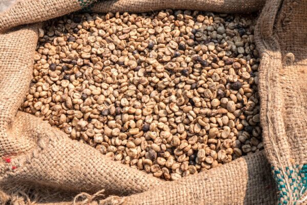 Robusta Coffee Beans (Bulk Export Grade)