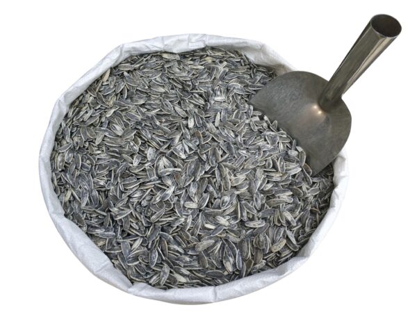 Sunflower Seeds (Shelled)