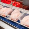 Frozen Chicken Breast (Boneless)