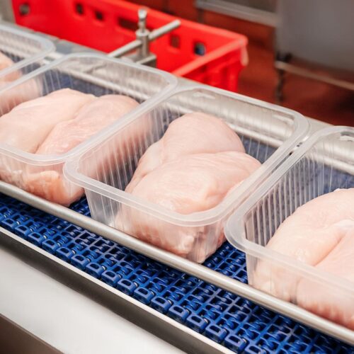 Frozen Chicken Breast (Boneless)